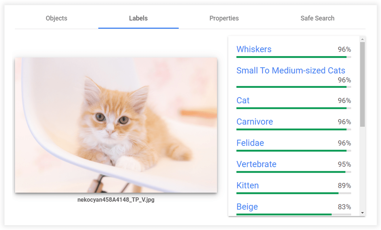Cloud Vision APIで「子猫」画像を試した結果